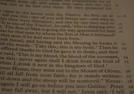 Bible, reading, passage — Charming prostitutes Adler on sochifeya